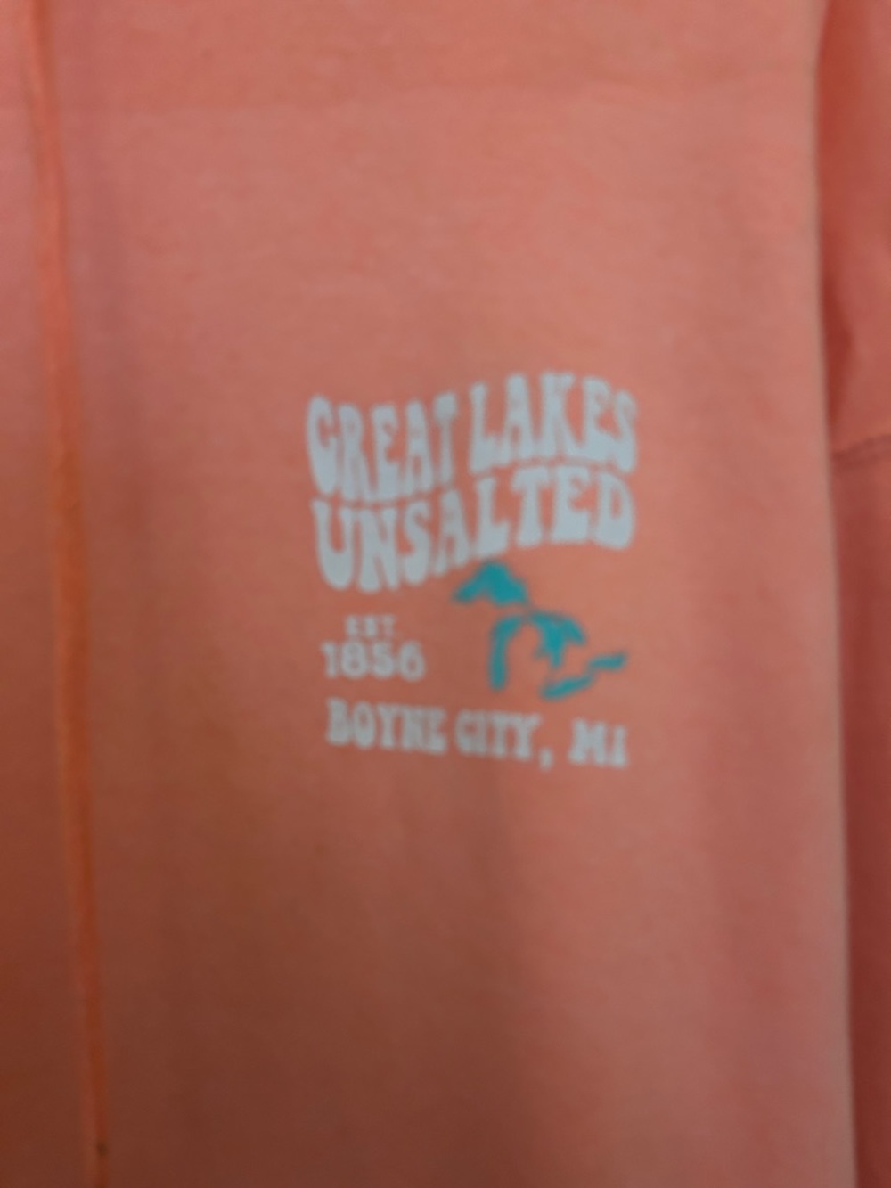 Great Lakes Unsalted Coral Pullover Hoodie for Women - Picture 2 of 5